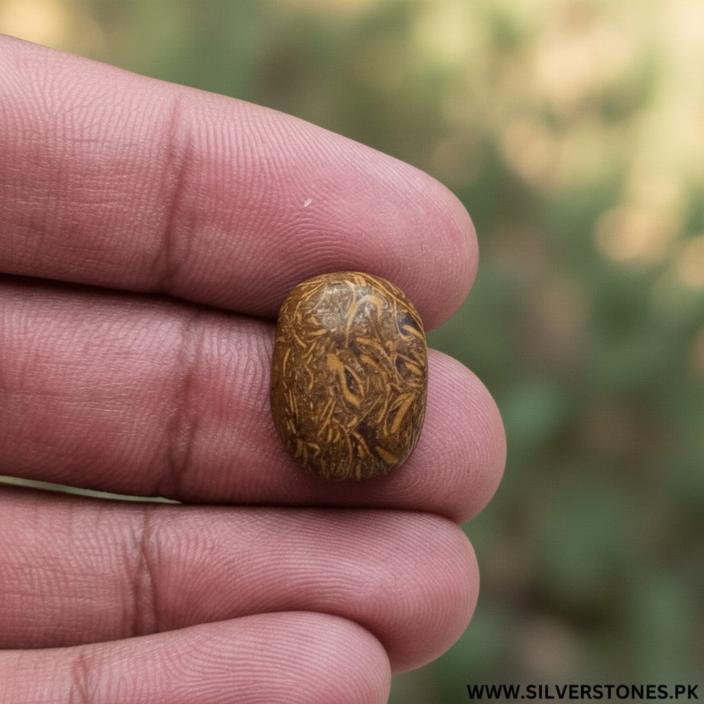 SilverStones.Pk real Sang-e-Mariam stone, oval cabochon with intricate brown and tan natural patterns, held in a hand.